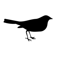 bird7